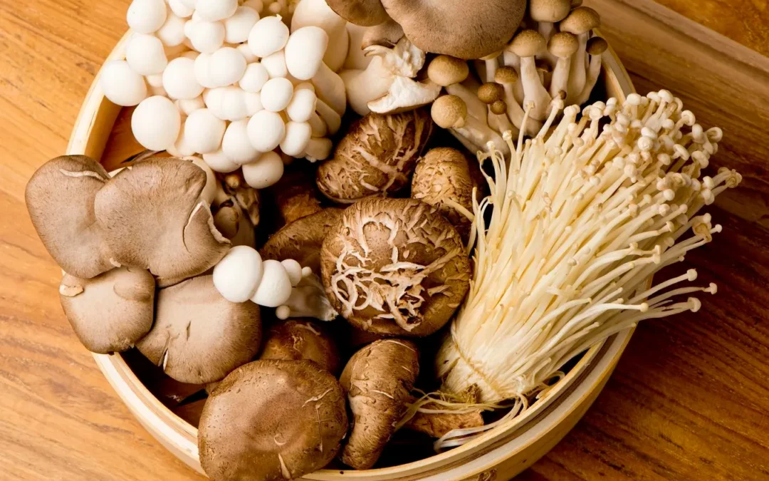 What Are Functional Mushrooms? Benefits & Types