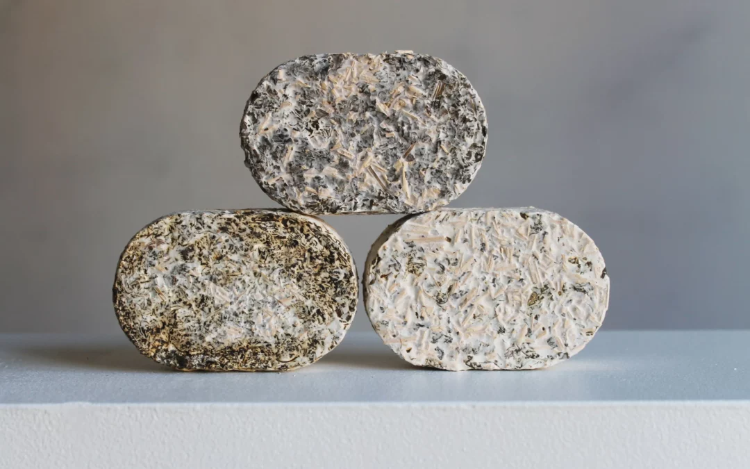 What Are Mycelium Protein Bars? The Science Behind FungoFit